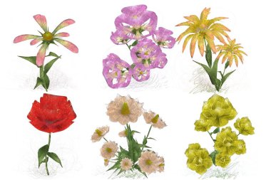 Beyaz arkaplanda güzel çiçekler