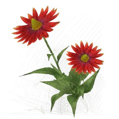 2d illüstrasyon. Dekoratif izole çiçek görüntüsü. Çiçek İllüstrasyon. Vintage botanik sanat. El yapımı çizim.