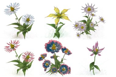 Beyaz arkaplanda güzel çiçekler