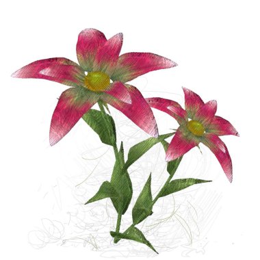 Beyaz arka planda izole çiçek