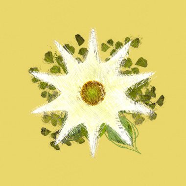 beyaz arkaplanda yeşil yapraklar