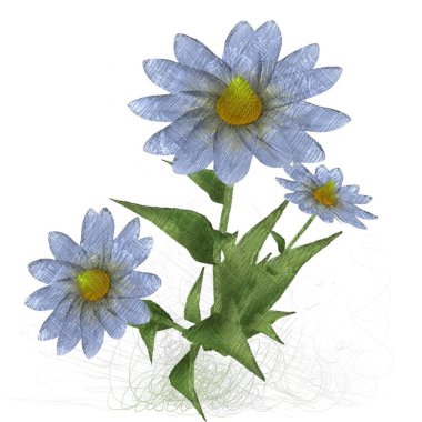 beyaz arkaplanda izole edilmiş çiçek