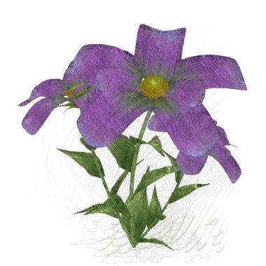 güzel orkide beyaz zemin üzerine izole