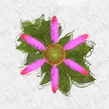 beyaz arkaplanda kırmızı çiçekler