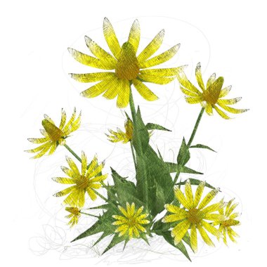 beyaz arkaplanda yeşil yapraklar izole