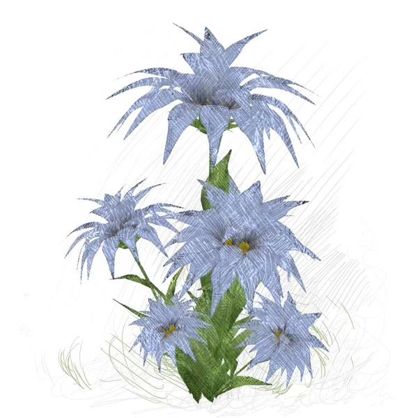 Vector Ilustración Flores — Foto de Stock