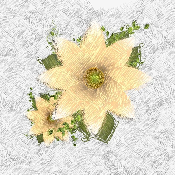 Blume Auf Weißem Hintergrund — Stockfoto