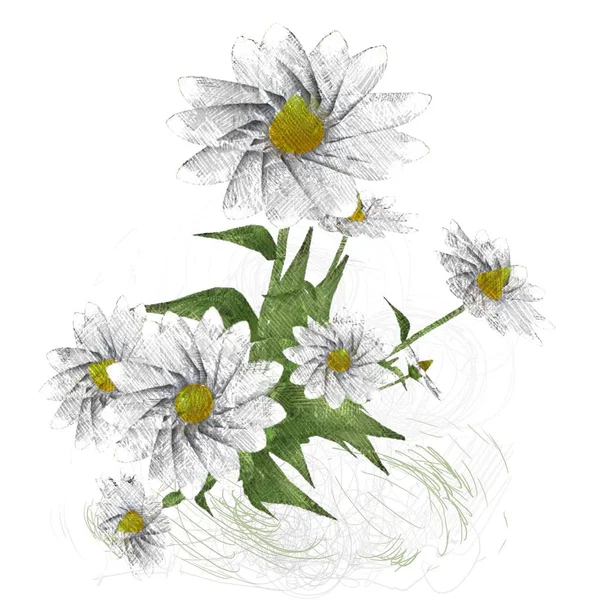 Ακατάστατα Λουλούδια Που Απομονώνονται Λευκό Φόντο — Φωτογραφία Αρχείου