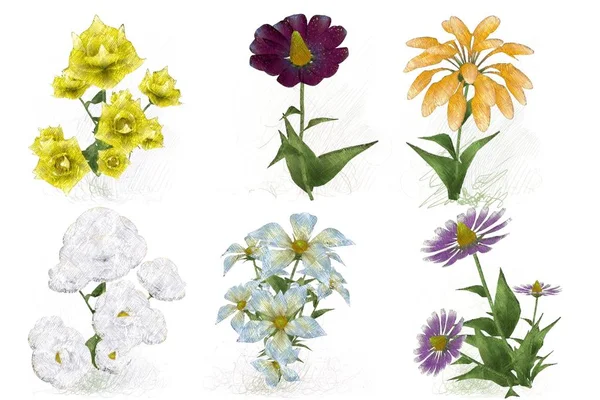 Piękne Kwiaty Akwarela Białym Tle — Zdjęcie stockowe