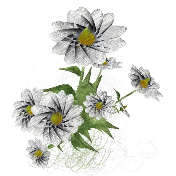 Szép Virág Virágok Fehér Háttér — Stock Fotó