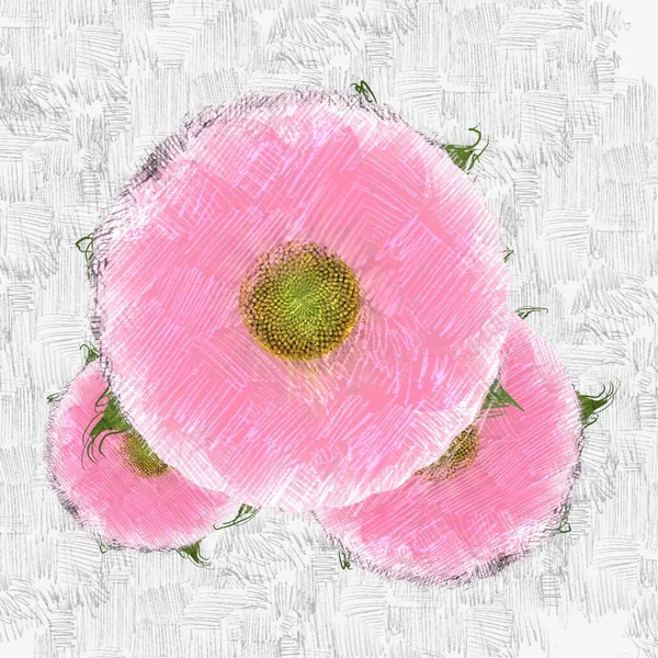 Rózsaszín Rózsa Virággal — Stock Fotó