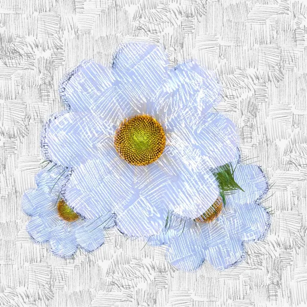 白い背景の上に色とりどりの花 — ストック写真