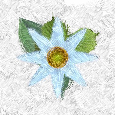 beyaz zemin üzerine suluboya