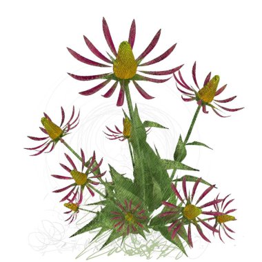 Beyaz arkaplanda güzel çiçekler 