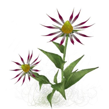 Beyaz arka planda izole dağınık grungy çiçekler