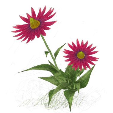 Beyaz arka planda izole dağınık grungy çiçekler