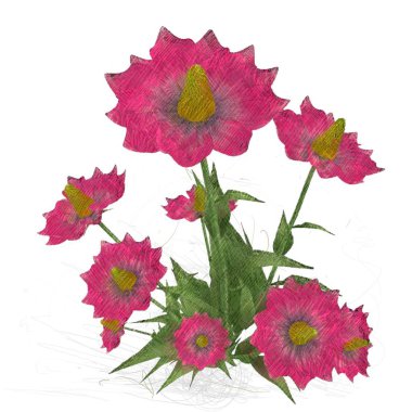 Beyaz arkaplanda güzel çiçekler 