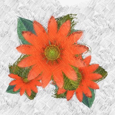 Beyaz arkaplanda kırmızı çiçekler