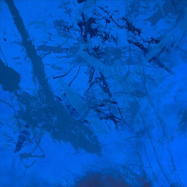 metin için alanı olan grunge arkaplanı   