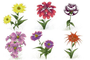 Beyaz arka planda güzel suluboya çiçekler