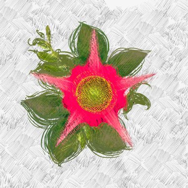 Beyaz arkaplanda kırmızı güller