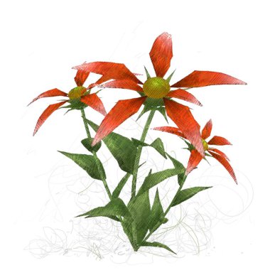 Beyaz arkaplanda güzel çiçekler 