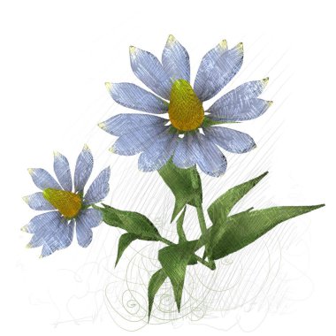 Beyaz arkaplanda güzel çiçekler