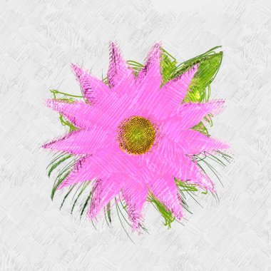 beyaz arkaplanda çiçek