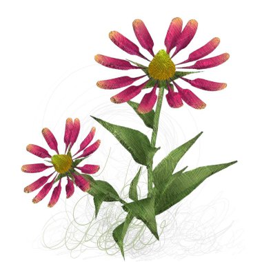 Beyaz arkaplanda bir buket çiçek