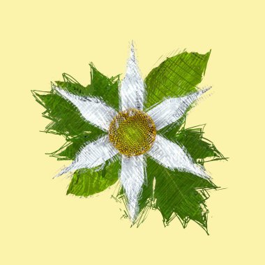 sonbahar yaprakları beyaz arkaplanda izole