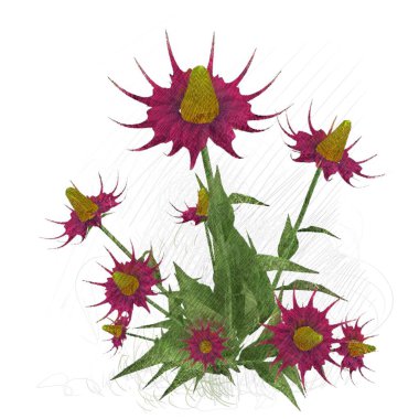 Beyaz arkaplanda güzel çiçekler