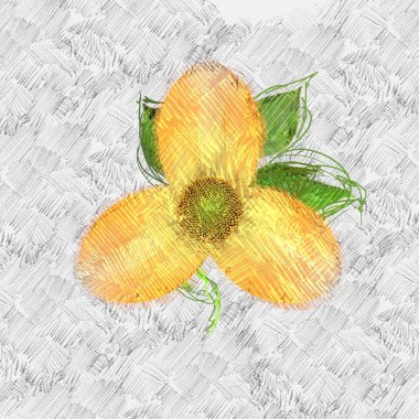 Beyaz arkaplanda sonbahar yaprakları