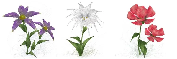 Beyaz Arka Planda Suluboya Çiçekler Seti — Stok fotoğraf