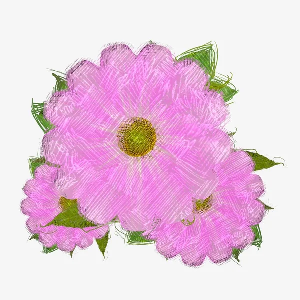 Pink Flower Isolated White Background — Stock Photo, Image