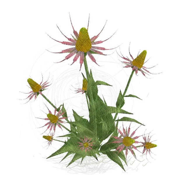 Beyaz arkaplanda izole edilmiş noel ağacı