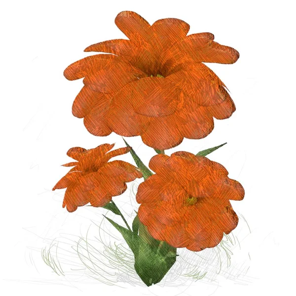 Vackra Blommor Vit Bakgrund — Stockfoto