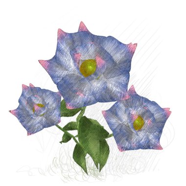 Beyaz arkaplanda güzel çiçekler 