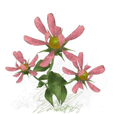 Beyaz arka planda izole dağınık grungy çiçekler