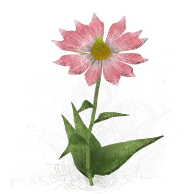 Beyaz arka planda izole çiçek