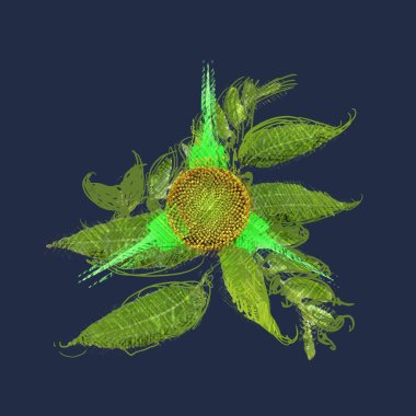 Siyah arkaplanda yeşil yapraklar