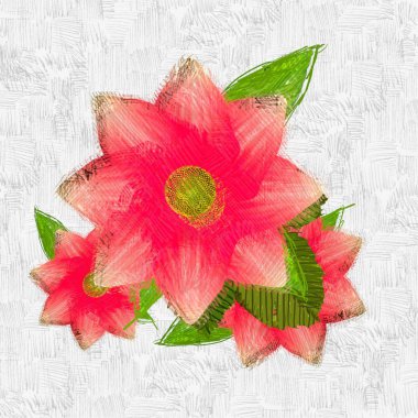 Beyaz arkaplanda kırmızı çiçekler