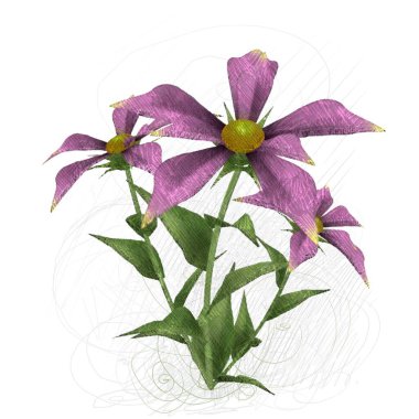 Beyaz arkaplanda izole edilmiş pembe çiçekler