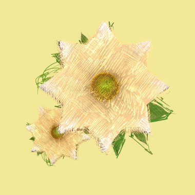 sonbahar yaprakları beyaz arkaplanda izole