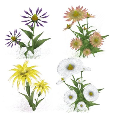 Beyaz arka planda suluboya çiçekler seti