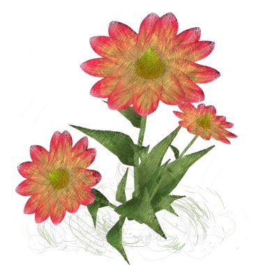 Beyaz arkaplanda güzel çiçekler