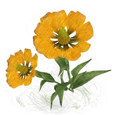 çiçekler ile suluboya çiçek