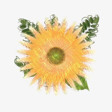 Renkli çiçek doku arka plan 