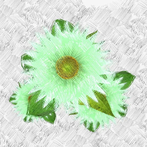 Blumen Hintergrund Mit Blumen — Stockfoto