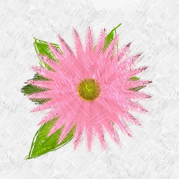 Špinavá Mizerná Květinka Ošuntělém Pozadí — Stock fotografie
