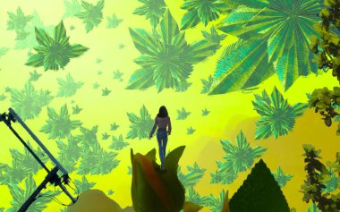 tropikal bir ormanda siluet